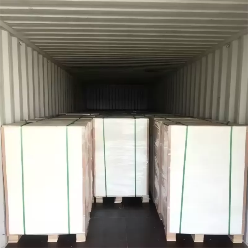 PE Coated Mg Paper